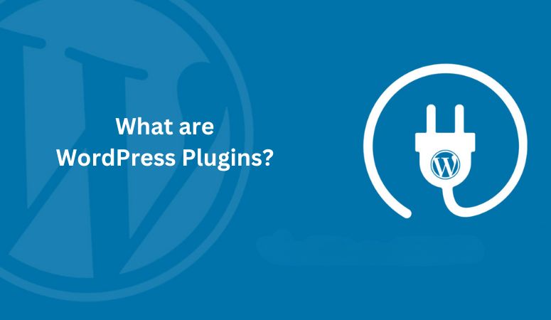 What Are WordPress Plugins? [A Detailed Guide]